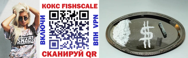 блэк спрут как войти  Шацк  Cocaine Fish Scale  где купить наркотик 