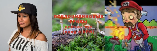 Альфа ПВП Абаза