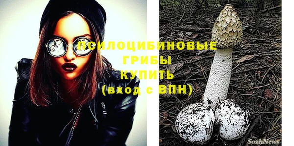 ПСИЛОЦИБИНОВЫЕ ГРИБЫ Абдулино