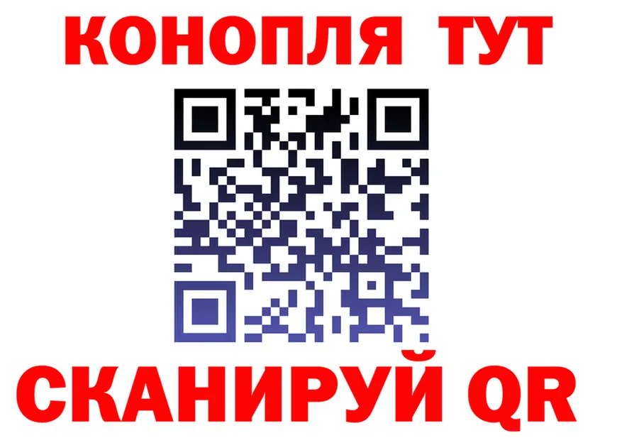 Альфа ПВП крисы CK вход площадка мега Шацк